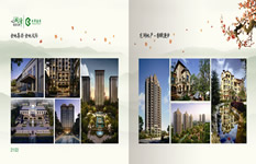 金地集團 龍湖地產